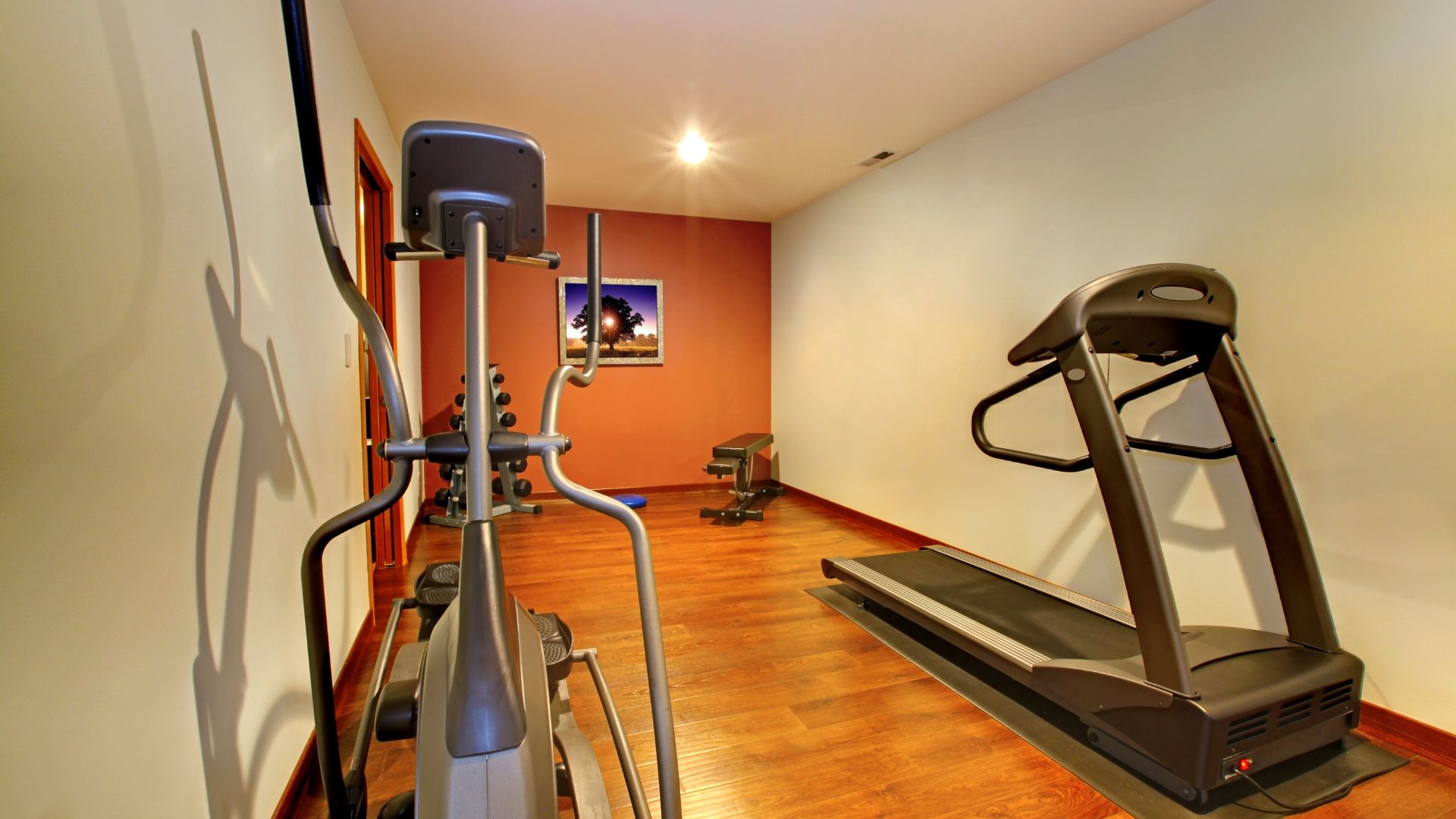 Basement gym room with elliptical bike, treadmill and weightlifting materials